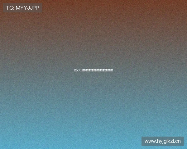 以500为核心打造高效策略方法全面解析与实用指南